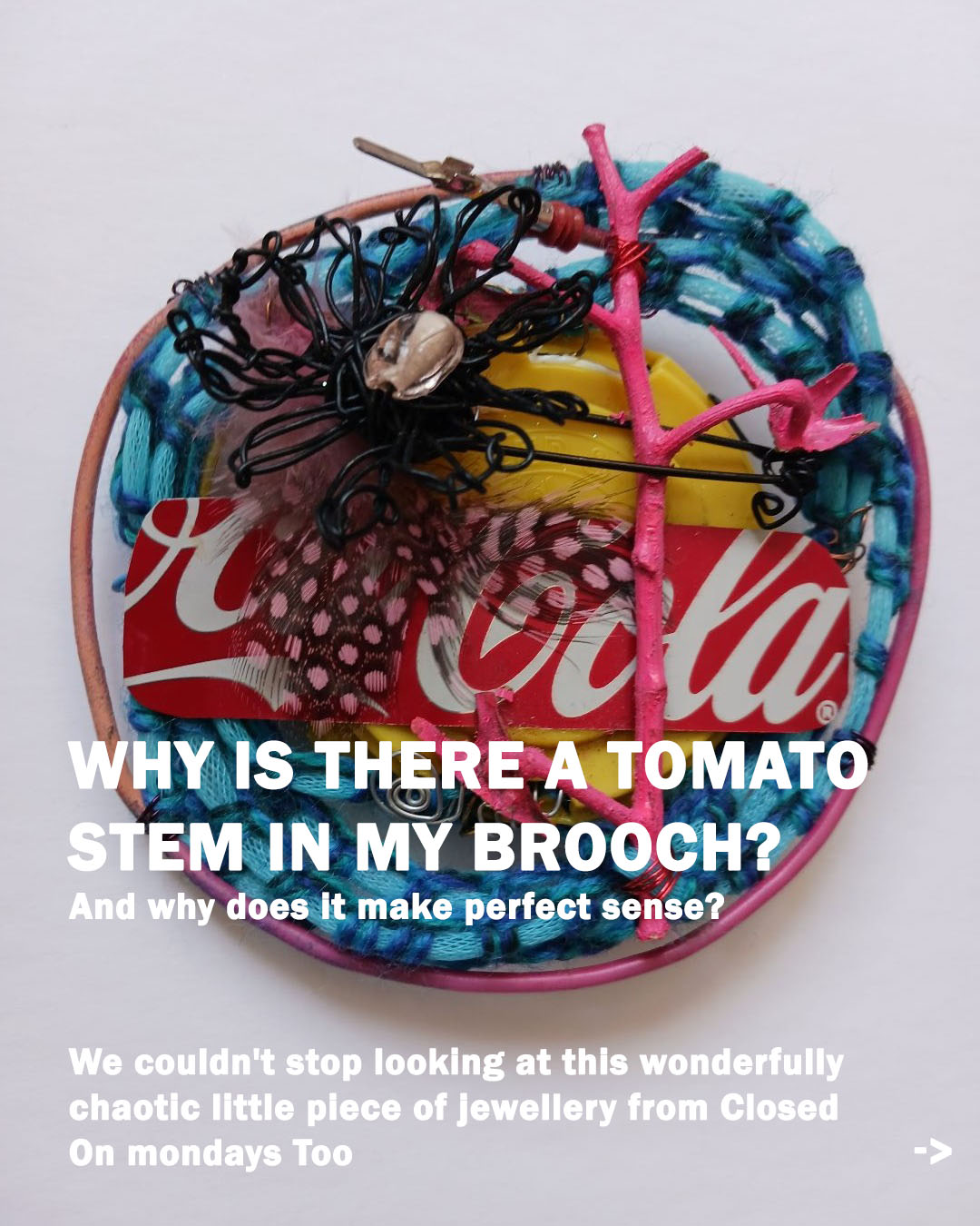Cover image for WHY IS THERE A TOMATO STEM IN MY BROOCH?