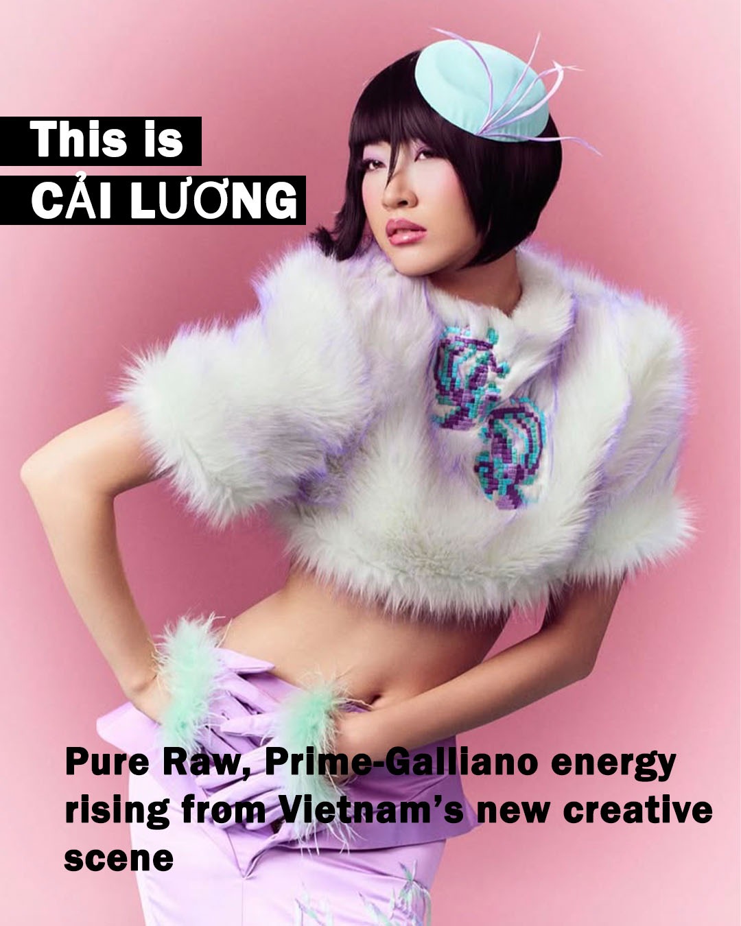 Cover image for This is CẢI LƯƠNG